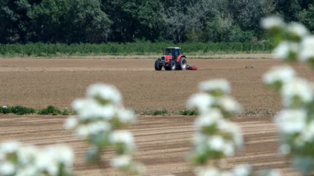 ΕΛΓΑ: Πληρώνονται σήμερα αποζημιώσεις 73 εκατ. ευρώ για ζημιές του 2025 2026