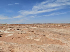Εντυπωσιακή ανακάλυψη: Ίχνη δεινοσαύρων 132 εκατ. χρόνων αποκαλύπτουν άγνωστες πτυχές της Κρητιδικής περιόδου 2026 Εντυπωσιακή ανακάλυψη: Ίχνη δεινοσαύρων 132 εκατ. χρόνων αποκαλύπτουν άγνωστες πτυχές της Κρητιδικής περιόδου 2026