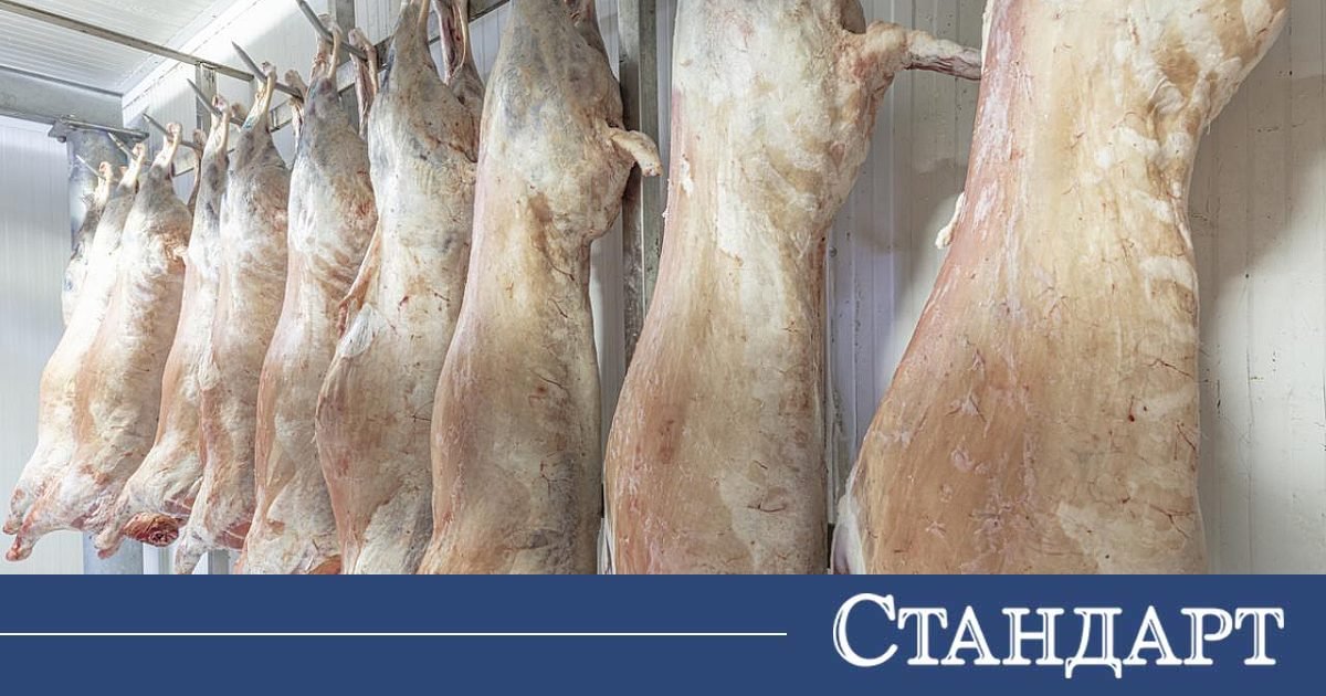 Ето къде агнешкото струва 5 евро за килограм 2026 - юстиция Общество ето къде агнешкото струва 5 евро за килограм 2026 eto kade agneshkoto struva evro kilogram 2026 общество около 800 тона агнешко месо са внесени в българия за великден, каза пред бнр съпредседателят на националната... Iustitia. Bg ето къде агнешкото струва 5 евро за килограм 2026 2026-04-08 20:18:33 юстиция общество