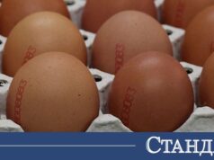 Фермер разкри какво се случва с яйцата преди Великден 2026 Фермер разкри какво се случва с яйцата преди Великден 2026