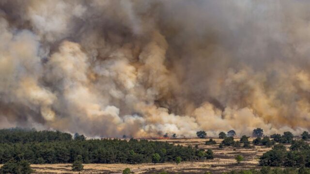 Feuer auf Truppenübungsplatz in den Niederlanden 2026