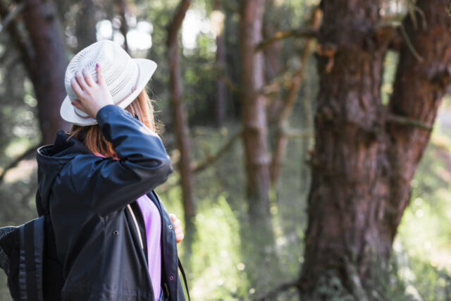 Где на больших выходных можно посещать леса без ограничений 2026