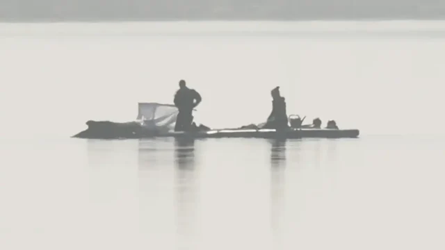 Gestrandeter Ostsee-Wal: Tierärztin über Buckelwal: „Langsames Dahinsiechen ist kein ruhiges Sterben“ 2026