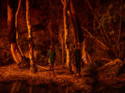 Incêndios: Escola Nacional de Bombeiros lança curso online para todos os cidadãos 2026 Incêndios: Escola Nacional de Bombeiros lança curso online para todos os cidadãos 2026