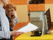 Избирателната активност към 15:00 часа е 31,8% по данни от екзит пол на социологическа агенция „Мяра“ 2026 Избирателната активност към 15:00 часа е 31,8% по данни от екзит пол на социологическа агенция „Мяра“ 2026