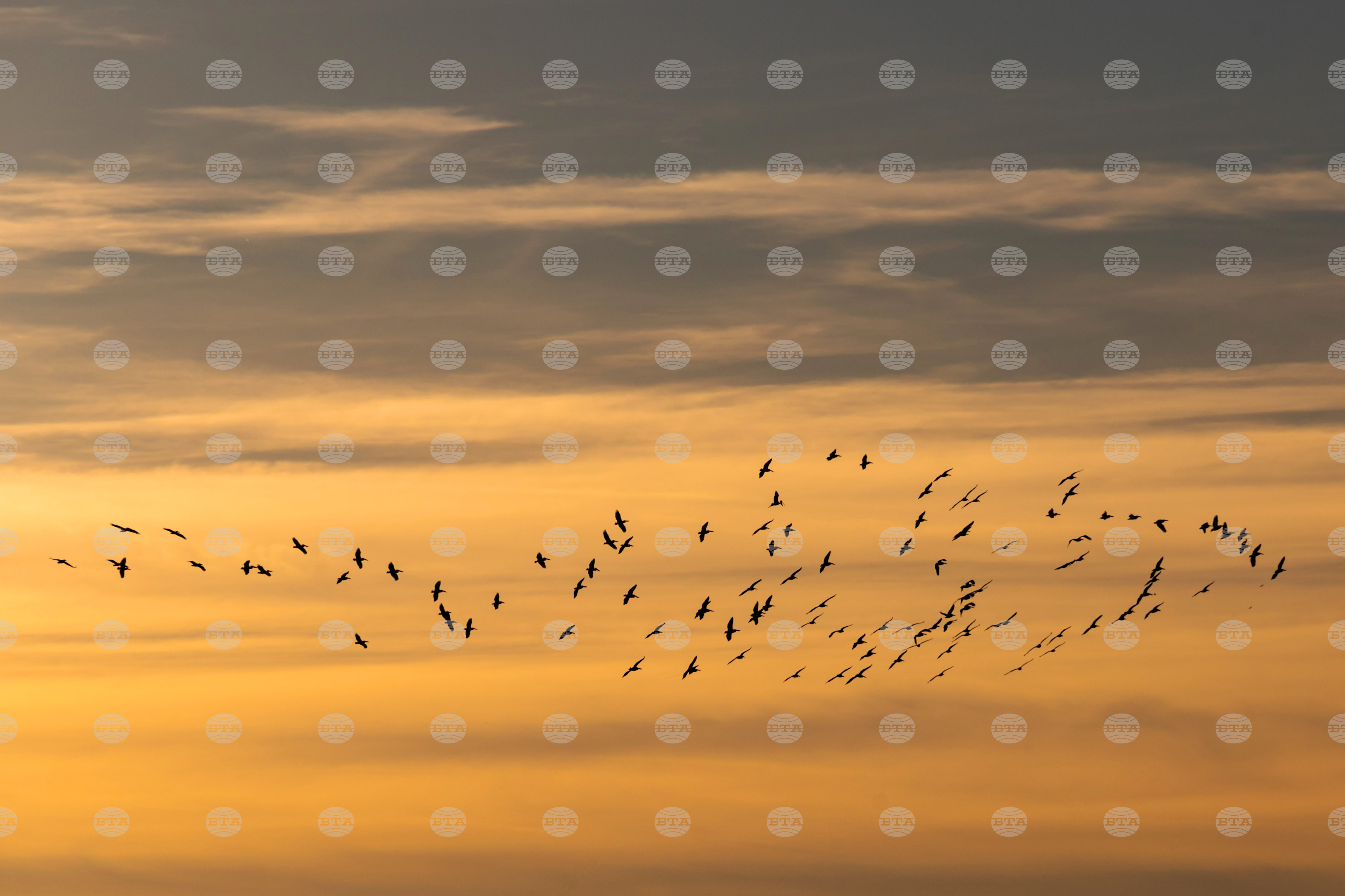 Изкуствени гнезда за птици са поставени в различни части на атина в подкрепа на градското биоразнообразие 2026 - юстиция Балкани изкуствени гнезда за птици са поставени в различни части на атина в подкрепа на градското биоразнообразие 2026 izkustveni gnezda ptitsi postaveni razlichni chasti ati балкани в различни части на гръцката столица атина са поставени специално изработени гнезда за птици – лястовици и... Iustitia. Bg изкуствени гнезда за птици са поставени в различни части на атина в подкрепа на градското биоразнообразие 2026 2026-04-08 15:13:00 юстиция балкани