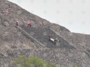 Канадска туристка бе убита, а още четирима бяха ранени при стрелба около пирамидите Теотиуакан в Мексико 2026 Канадска туристка бе убита, а още четирима бяха ранени при стрелба около пирамидите Теотиуакан в Мексико 2026