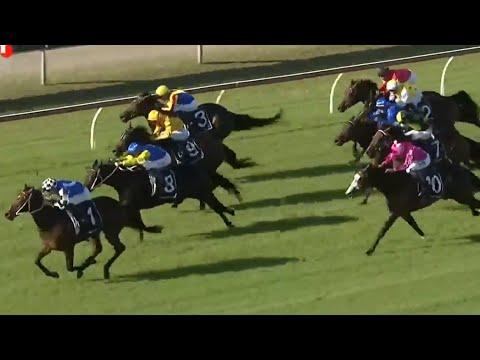 Lord of biscay favoured runner in the provincial final 2026 lord biscay favoured runner the provincial final 2026 видео: https://www. Youtube. Com/watch? V=1cuyzm0gsv8
trainer kris lees discusses his three runners in the provincial... Iustitia. Bg lord of biscay favoured runner in the provincial final 2026 2026-04-11 04:50:33 justice - iustitia. Bg