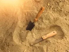 На месте покинутой испанской колонии: ученые нашли древнюю монету недалеко от Магелланова пролива 2026 На месте покинутой испанской колонии: ученые нашли древнюю монету недалеко от Магелланова пролива 2026