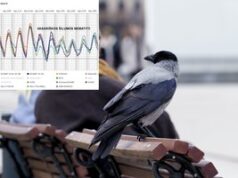 Meteorologas skelbia apie laukiančius nemalonius pokyčius: šildymo išjungti geriau neskubėti 2026 Meteorologas skelbia apie laukiančius nemalonius pokyčius: šildymo išjungti geriau neskubėti 2026