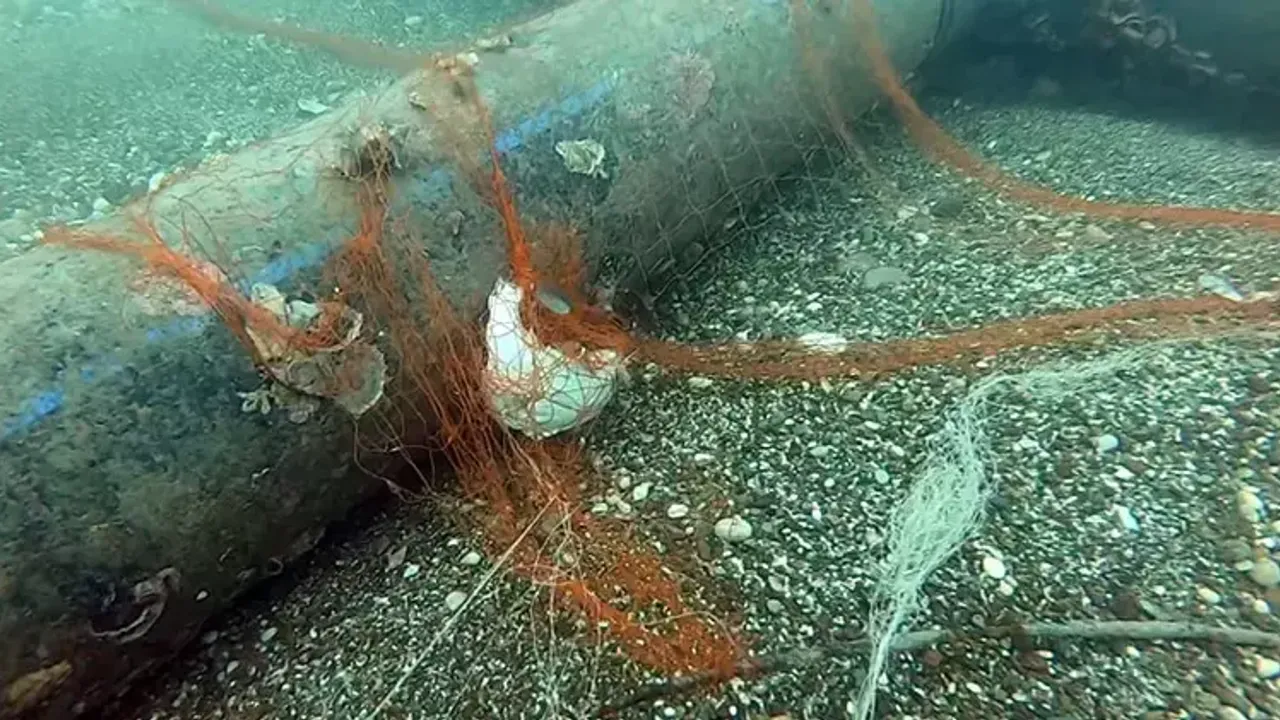 Gündem 1,5 milyon deniz canlısı kurtarıldı 2026 milyon deniz canl kurtar 2026 1 gündem iustitia. Bg tarım ve orman bakanlığı tarafından 2014 yılında başlatılan “denizlerin terkedilmiş av araçlarından... Iustitia. Bg 1,5 milyon deniz canlısı kurtarıldı 2026 2026-04-26 16:47:00 adalet - iustitia. Bg gündem