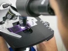 Muscoli, il meccanismo dietro al loro invecchiamento 2026 Muscoli, il meccanismo dietro al loro invecchiamento 2026