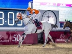 الجواد "متمرد" يحرز كأس المعمورة للخيل المهجنة الأصيلة 2026 الجواد "متمرد" يحرز كأس المعمورة للخيل المهجنة الأصيلة 2026