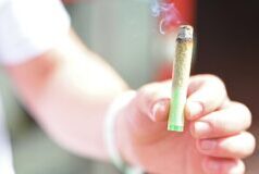 Niederländische Polizei beschlagnahmt 86.000 Joints 2026 Niederländische Polizei beschlagnahmt 86.000 Joints 2026