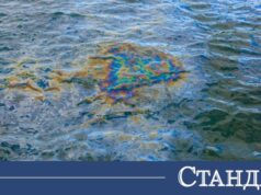 Нов кошмар в Черно море! Появи се петно от слънчогледово масло 2026 Нов кошмар в Черно море! Появи се петно от слънчогледово масло 2026