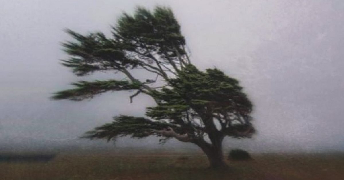 Юстиция | разследваща журналистика, новини, анализи | iustitia. Bg | юстиция - юстиция Юстиция юстиция | разследваща журналистика, новини, анализи | iustitia. Bg | юстиция obyaviha zhalt kod april nyakolko oblasti dazhd 2026 юстиция jtndysuymghyzwylm0qlmjjodhrwcyuzqsuyriuyrm5ld3muz29vz2xllmnvbsuyrnb1ymxpy2f0aw9ucyuyrknbqxfcd2dltuxqnxlrc3c4nvroqxclm0zjzwlkjtneqkclm0fizyuynmftccuzqm9jjtnemyuymiuzrsuzq2ltzyuymgnsyxnzjtnejtiyywxpz25jzw50zxilmjb3cc1pbwfnzs0xnju3jtiwc2l6zs1mdwxsjtiyjtiwdgl0bgulm0qlmjilrdalqjmlrdelodmlrdalqjmlrdeloeelrdalqkilmjalrdalqkqlrdalqkulrdalqjilrdalqjglrdalqkqlrdalqjglmkmlmjalrdalqjmlrdalqkulrdalqkulrdalqjmlrdalqkilrdalqjulmjalrdalqkqlrdalqkulrdalqjilrdalqjglrdalqkqlrdalqjglmkmlmjalrdalqjmlrdelodmlrdalqjmlrdeloeelrdalqkilmjalrdalqkqlrdeloeulrdalqjclmkmlmjalrdalqjmlrdeloeelrdalqjmlrdeloeelrdalqkilmjalrdalqkqlrdeloeulrdalqjclmkmlmjbnb29nbgulmjbuzxdzjtjdjtiwbmv3cyuymgdvb2dszsuyqyuymgdvb2dszs5izyuyqyuymg5ld3muz29vz2xllmjnjtjdjtiwjuqwjuffjuqxjtgxjuqxjtgyjuqwjui4juqxjtg2juqwjui4juqxjthgjtjdjtiwjuqwjujejuqwjujfjuqwjuiyjuqwjui4juqwjujejuqwjui4jtjdjtiwjuqwjujgjuqwjujfjuqxjtgxjuqwjujcjuqwjui1juqwjui0juqwjujejuqwjujfjuqxjtgyjuqwjujfjtjdjtiwjuqwjujejuqwjuiwjuqwjui5lsvemcvcmivemcvcmcvemcvcnivemcvcrcvemcvcrsvemsu4mivemcvcrsuyqyuymcvemcvcmivemcvcocvemcvcncvemcvcnsvemcvcrsuyqyuymcvemsu4mivemcvcnsvemcvcqivemcvcnsvemcvcmivemcvcocvemcvcnyvemcvcocvemsu4riuyqyuymcvemsu4mcvemcvcmcvemcvcncvemcvcocvemcvcrsuyqyuymcvemcu5rcvemcvcrsvemcvcmivemcvcocvemcvcrcvemcvcocuyqyuymcvemcvcrivemcvcnsvemsu4mivemsu4qsvemsu4mcuymcvemcvcrcvemcvcocvemcvcnyvemcvcmcvemcvcqyvemcvcrsvemcvcmiuymiuymhnyyyuzrcuymmh0dhalm0elmkylmkz3d3cuaxvzdgl0aweuymclmkz3cc1jb250zw50jtjgdxbsb2fkcyuyrjiwmjmlmkywmyuyrkdvb2dszs1ozxdzlwl1c3rpdglhlwjnlxbldgfylw5pemftb3yud2viccuymiuymgfsdcuzrcuymivemcvcmyvemsu4myvemcvcmyvemsu4qsvemcvcqiuymcvemcvcrcvemcvcrsvemcvcmivemcvcocvemcvcrcvemcvcocuyqyuymcvemcvcmyvemcvcrsvemcvcrsvemcvcmyvemcvcqivemcvcnsuymcvemcvcrcvemcvcrsvemcvcmivemcvcocvemcvcrcvemcvcocuyqyuymcvemcvcmyvemsu4myvemcvcmyvemsu4qsvemcvcqiuymcvemcvcrcvemsu4rsvemcvcnyuyqyuymcvemcvcmyvemsu4qsvemcvcmyvemsu4qsvemcvcqiuymcvemcvcrcvemsu4rsvemcvcnyuyqyuymgdvb2dszsuymg5ld3mlmkmlmjbuzxdzjtiwz29vz2xljtjdjtiwz29vz2xllmjnjtjdjtiwbmv3cy5nb29nbguuymclmkmlmjalrdalquulrdelodelrdelodilrdalqjglrdelodylrdalqjglrdeloeylmkmlmjalrdalqkqlrdalqkulrdalqjilrdalqjglrdalqkqlrdalqjglmkmlmjalrdalqkylrdalqkulrdelodelrdalqkilrdalqjulrdalqjqlrdalqkqlrdalqkulrdelodilrdalqkulmkmlmjalrdalqkqlrdalqjalrdalqjktjuqwjuiyjuqwjuiwjuqwjui2juqwjujejuqwjujfjuqxjtgyjuqwjujfjtjdjtiwjuqwjuiyjuqwjui4juqwjui0juqwjui1juqwjujfjtjdjtiwjuqxjtgyjuqwjui1juqwjujcjuqwjui1juqwjuiyjuqwjui4juqwjui3juqwjui4juqxjthgjtjdjtiwjuqxjtgwjuqwjuiwjuqwjui0juqwjui4juqwjujfjtjdjtiwjuqwjtlejuqwjujfjuqwjuiyjuqwjui4juqwjujejuqwjui4jtjdjtiwjuqwjujgjuqwjui1juqxjtgyjuqxjthbjuqxjtgwjtiwjuqwjujejuqwjui4juqwjui3juqwjuiwjuqwjujdjuqwjujfjuqwjuiyjtiyjtiwd2lkdgglm0qlmjizmdalmjilmjbozwlnahqlm0qlmjixmdulmjilmjalmkylm0ulm0mlmkzhjtnfjtndadmlmjbzdhlszsuzrcuymnrlehqtywxpz24lm0elmjbjzw50zxilm0ilmjilm0ulm0nzdhjvbmclm0ulrdalqtalrdalqjulrdalqkelrdalqkilrdalqjalrdalqkmlrdalqjglrdelodalrdalqjalrdalqjklrdelodilrdalqjulmjalrdalqkylrdelodalrdalqjglmjalrdalqkqlrdalqjalrdelodehjtndjtjgc3ryb25njtnfjtndjtjgadmlm0ulmeqlmeelm0nhjtiwahjlziuzrcuymmh0dhbzjtnbjtjgjtjgaxvzdgl0aweuymclmkzyzwtsyw1pjtjgjtiyjtnfjtndaw1njtiwy2xhc3mlm0qlmjjhbglnbmnlbnrlciuymhdwlwltywdlltgxnda1jtiwc2l6zs1mdwxsjtiyjtiwdgl0bgulm0qlmjilrdalqtalrdalqjulrdalqkelrdalqkilrdalqjalrdalqkmlrdalqjglrdelodalrdalqjalrdalqjklrdelodilrdalqjulmjalrdalqkylrdelodalrdalqjglmjalrdalqkqlrdalqjalrdelodehjtiwjuqwjuffjuqwjuexjuqwjueyjuqwjtk4juqwjue2juqwjtk4juqwjufgjtiwlsuymelvu1rjvelblkjhjtiyjtiwc3jjjtnejtiyahr0chmlm0elmkylmkzpdxn0axrpys5izyuyrndwlwnvbnrlbnqlmkz1cgxvywrzjtjgmjaynsuyrjewjtjgcmvrbgftaxjhaxrllxbyas1uyxmud2viccuymiuymgfsdcuzrcuymivemcvbmcvemcvcnsvemcvcqsvemcvcqivemcvcmcvemcvcqyvemcvcocuymcvemcvbmcvemcvcnsvemcvcqsvemcvcqivemcvcmcvemcvcqyvemcvcmcuymcvemcvcncvemcvcocvemcvcmyvemcvcocvemsu4mivemcvcmcvemcvcqivemcvcnsvemcvcrcuymcvemcvcqyvemcvcmcvemsu4mcvemcvcqsvemcvcnsvemsu4mivemcvcocvemcvcrcvemcvcmyuymcvemcvbmcvemcvcnsvemcvcqsvemcvcqivemcvcmcvemcvcqyvemcvcocvemsu4mcvemcvcmcvemcvcosvemsu4mivemcvcnsuymcvemcvcrivemsu4mcvemcvcocuymcvemcvcrcvemcvcmcvemsu4msuymcvemsu4msuymcvemcvbrsvemcvbmsvemcvbmivemcu5ocvemcvbnivemcu5ocvemcvbriuymc0lmjbjvvnusvrjqs5cryuymcvemcvbmcvemcvcnsvemcvcqsvemcvcqivemcvcmcvemcvcqyvemcvcocvemsu4mcvemcvcmcvemcvcosvemsu4mivemcvcnsuymcvemcvcrivemsu4mcvemcvcocuymcvemcvcrcvemcvcmcvemsu4mselmjalrdalquulrdalqtelrdalqtilrdalotglrdalqtylrdalotglrdalquylmjatjtiwsvvtvelusueuqkclmjbyzwtsyw1pcmfpdgulmjbwcmklmjbuyxmlmjilmjb3awr0acuzrcuymjeymdalmjilmjbozwlnahqlm0qlmji2mjglmjilmjalmkylm0ulm0mlmkzhjtnf юстиция юстиция