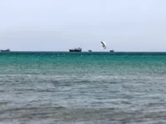 Почему Иран не способен разблокировать Ормузский пролив по требованию США: в NYT узнали детали 2026 Почему Иран не способен разблокировать Ормузский пролив по требованию США: в NYT узнали детали 2026