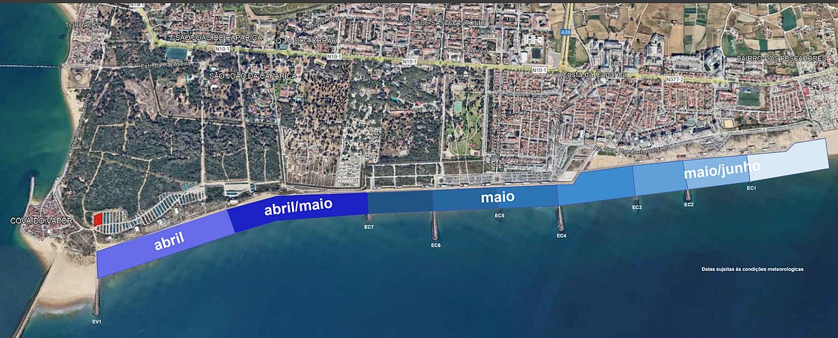 Reposição de areia leva a interdição de praias na costa da caparica 2026 - justiça - iustitia. Bg Ção impressa reposição de areia leva a interdição de praias na costa da caparica 2026 reposi areia leva interdi praias costa caparica 2026 ção impressa a partir desta quinta-feira, 16 de abril, e até junho as praias de s. João da caparica e da costa da caparica, em... Iustitia. Bg reposição de areia leva a interdição de praias na costa da caparica 2026 2026-04-15 18:05:10 justiça - iustitia. Bg ção impressa