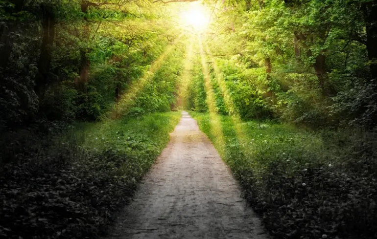 Ukraina сад божественных песен: диалог с богом 2026 sad bozhestvennyh pesen dialog bogom 2026 3 ukraina весной хочется в сад. Не абстрактный, а очень конкретный. Где слышны птицы, а свет не режет глаз тревожными... Iustitia. Bg сад божественных песен: диалог с богом 2026 2026-04-12 11:56:00 справедливість - юстиция ukraina