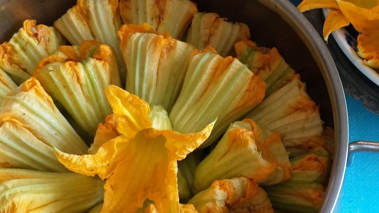 Kabak çiçeği dolması