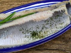 Silkė ir cholesterolis: kaip ji veikia mūsų organizmą? 2026 Silkė ir cholesterolis: kaip ji veikia mūsų organizmą? 2026