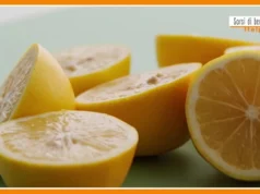 Sorsi di Benessere – Una crema ricca di proprietà benefiche 2026 Sorsi di Benessere - Una crema ricca di proprietà benefiche 2026