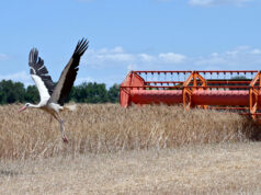 Ukrajna évekre lemondana az agrártámogatásokról, hogy hamarabb csatlakozhasson az EU-hoz 2026 Ukrajna évekre lemondana az agrártámogatásokról, hogy hamarabb csatlakozhasson az EU-hoz 2026