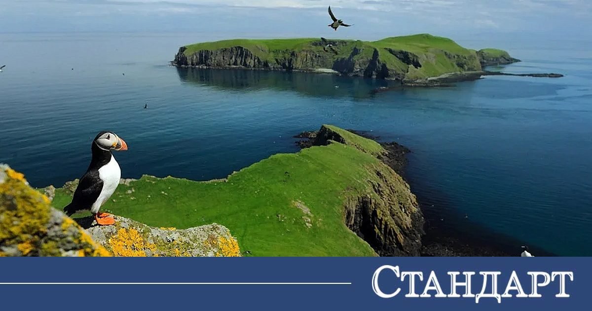 Юстиция юстиция | разследваща журналистика, новини, анализи | iustitia. Bg | юстиция velikobritaniya reshi zabranenite ostrovi mavritsiy sha юстиция jtndysuymghyzwylm0qlmjjodhrwcyuzqsuyriuyrm5ld3muz29vz2xllmnvbsuyrnb1ymxpy2f0aw9ucyuyrknbqxfcd2dltuxqnxlrc3c4nvroqxclm0zjzwlkjtneqkclm0fizyuynmftccuzqm9jjtnemyuymiuzrsuzq2ltzyuymgnsyxnzjtnejtiyywxpz25jzw50zxilmjb3cc1pbwfnzs0xnju3jtiwc2l6zs1mdwxsjtiyjtiwdgl0bgulm0qlmjilrdalqjmlrdelodmlrdalqjmlrdeloeelrdalqkilmjalrdalqkqlrdalqkulrdalqjilrdalqjglrdalqkqlrdalqjglmkmlmjalrdalqjmlrdalqkulrdalqkulrdalqjmlrdalqkilrdalqjulmjalrdalqkqlrdalqkulrdalqjilrdalqjglrdalqkqlrdalqjglmkmlmjalrdalqjmlrdelodmlrdalqjmlrdeloeelrdalqkilmjalrdalqkqlrdeloeulrdalqjclmkmlmjalrdalqjmlrdeloeelrdalqjmlrdeloeelrdalqkilmjalrdalqkqlrdeloeulrdalqjclmkmlmjbnb29nbgulmjbuzxdzjtjdjtiwbmv3cyuymgdvb2dszsuyqyuymgdvb2dszs5izyuyqyuymg5ld3muz29vz2xllmjnjtjdjtiwjuqwjuffjuqxjtgxjuqxjtgyjuqwjui4juqxjtg2juqwjui4juqxjthgjtjdjtiwjuqwjujejuqwjujfjuqwjuiyjuqwjui4juqwjujejuqwjui4jtjdjtiwjuqwjujgjuqwjujfjuqxjtgxjuqwjujcjuqwjui1juqwjui0juqwjujejuqwjujfjuqxjtgyjuqwjujfjtjdjtiwjuqwjujejuqwjuiwjuqwjui5lsvemcvcmivemcvcmcvemcvcnivemcvcrcvemcvcrsvemsu4mivemcvcrsuyqyuymcvemcvcmivemcvcocvemcvcncvemcvcnsvemcvcrsuyqyuymcvemsu4mivemcvcnsvemcvcqivemcvcnsvemcvcmivemcvcocvemcvcnyvemcvcocvemsu4riuyqyuymcvemsu4mcvemcvcmcvemcvcncvemcvcocvemcvcrsuyqyuymcvemcu5rcvemcvcrsvemcvcmivemcvcocvemcvcrcvemcvcocuyqyuymcvemcvcrivemcvcnsvemsu4mivemsu4qsvemsu4mcuymcvemcvcrcvemcvcocvemcvcnyvemcvcmcvemcvcqyvemcvcrsvemcvcmiuymiuymhnyyyuzrcuymmh0dhalm0elmkylmkz3d3cuaxvzdgl0aweuymclmkz3cc1jb250zw50jtjgdxbsb2fkcyuyrjiwmjmlmkywmyuyrkdvb2dszs1ozxdzlwl1c3rpdglhlwjnlxbldgfylw5pemftb3yud2viccuymiuymgfsdcuzrcuymivemcvcmyvemsu4myvemcvcmyvemsu4qsvemcvcqiuymcvemcvcrcvemcvcrsvemcvcmivemcvcocvemcvcrcvemcvcocuyqyuymcvemcvcmyvemcvcrsvemcvcrsvemcvcmyvemcvcqivemcvcnsuymcvemcvcrcvemcvcrsvemcvcmivemcvcocvemcvcrcvemcvcocuyqyuymcvemcvcmyvemsu4myvemcvcmyvemsu4qsvemcvcqiuymcvemcvcrcvemsu4rsvemcvcnyuyqyuymcvemcvcmyvemsu4qsvemcvcmyvemsu4qsvemcvcqiuymcvemcvcrcvemsu4rsvemcvcnyuyqyuymgdvb2dszsuymg5ld3mlmkmlmjbuzxdzjtiwz29vz2xljtjdjtiwz29vz2xllmjnjtjdjtiwbmv3cy5nb29nbguuymclmkmlmjalrdalquulrdelodelrdelodilrdalqjglrdelodylrdalqjglrdeloeylmkmlmjalrdalqkqlrdalqkulrdalqjilrdalqjglrdalqkqlrdalqjglmkmlmjalrdalqkylrdalqkulrdelodelrdalqkilrdalqjulrdalqjqlrdalqkqlrdalqkulrdelodilrdalqkulmkmlmjalrdalqkqlrdalqjalrdalqjktjuqwjuiyjuqwjuiwjuqwjui2juqwjujejuqwjujfjuqxjtgyjuqwjujfjtjdjtiwjuqwjuiyjuqwjui4juqwjui0juqwjui1juqwjujfjtjdjtiwjuqxjtgyjuqwjui1juqwjujcjuqwjui1juqwjuiyjuqwjui4juqwjui3juqwjui4juqxjthgjtjdjtiwjuqxjtgwjuqwjuiwjuqwjui0juqwjui4juqwjujfjtjdjtiwjuqwjtlejuqwjujfjuqwjuiyjuqwjui4juqwjujejuqwjui4jtjdjtiwjuqwjujgjuqwjui1juqxjtgyjuqxjthbjuqxjtgwjtiwjuqwjujejuqwjui4juqwjui3juqwjuiwjuqwjujdjuqwjujfjuqwjuiyjtiyjtiwd2lkdgglm0qlmjizmdalmjilmjbozwlnahqlm0qlmjixmdulmjilmjalmkylm0ulm0mlmkzhjtnfjtndadmlmjbzdhlszsuzrcuymnrlehqtywxpz24lm0elmjbjzw50zxilm0ilmjilm0ulm0nzdhjvbmclm0ulrdalqtalrdalqjulrdalqkelrdalqkilrdalqjalrdalqkmlrdalqjglrdelodalrdalqjalrdalqjklrdelodilrdalqjulmjalrdalqkylrdelodalrdalqjglmjalrdalqkqlrdalqjalrdelodehjtndjtjgc3ryb25njtnfjtndjtjgadmlm0ulmeqlmeelm0nhjtiwahjlziuzrcuymmh0dhbzjtnbjtjgjtjgaxvzdgl0aweuymclmkzyzwtsyw1pjtjgjtiyjtnfjtndaw1njtiwy2xhc3mlm0qlmjjhbglnbmnlbnrlciuymhdwlwltywdlltgxnda1jtiwc2l6zs1mdwxsjtiyjtiwdgl0bgulm0qlmjilrdalqtalrdalqjulrdalqkelrdalqkilrdalqjalrdalqkmlrdalqjglrdelodalrdalqjalrdalqjklrdelodilrdalqjulmjalrdalqkylrdelodalrdalqjglmjalrdalqkqlrdalqjalrdelodehjtiwjuqwjuffjuqwjuexjuqwjueyjuqwjtk4juqwjue2juqwjtk4juqwjufgjtiwlsuymelvu1rjvelblkjhjtiyjtiwc3jjjtnejtiyahr0chmlm0elmkylmkzpdxn0axrpys5izyuyrndwlwnvbnrlbnqlmkz1cgxvywrzjtjgmjaynsuyrjewjtjgcmvrbgftaxjhaxrllxbyas1uyxmud2viccuymiuymgfsdcuzrcuymivemcvbmcvemcvcnsvemcvcqsvemcvcqivemcvcmcvemcvcqyvemcvcocuymcvemcvbmcvemcvcnsvemcvcqsvemcvcqivemcvcmcvemcvcqyvemcvcmcuymcvemcvcncvemcvcocvemcvcmyvemcvcocvemsu4mivemcvcmcvemcvcqivemcvcnsvemcvcrcuymcvemcvcqyvemcvcmcvemsu4mcvemcvcqsvemcvcnsvemsu4mivemcvcocvemcvcrcvemcvcmyuymcvemcvbmcvemcvcnsvemcvcqsvemcvcqivemcvcmcvemcvcqyvemcvcocvemsu4mcvemcvcmcvemcvcosvemsu4mivemcvcnsuymcvemcvcrivemsu4mcvemcvcocuymcvemcvcrcvemcvcmcvemsu4msuymcvemsu4msuymcvemcvbrsvemcvbmsvemcvbmivemcu5ocvemcvbnivemcu5ocvemcvbriuymc0lmjbjvvnusvrjqs5cryuymcvemcvbmcvemcvcnsvemcvcqsvemcvcqivemcvcmcvemcvcqyvemcvcocvemsu4mcvemcvcmcvemcvcosvemsu4mivemcvcnsuymcvemcvcrivemsu4mcvemcvcocuymcvemcvcrcvemcvcmcvemsu4mselmjalrdalquulrdalqtelrdalqtilrdalotglrdalqtylrdalotglrdalquylmjatjtiwsvvtvelusueuqkclmjbyzwtsyw1pcmfpdgulmjbwcmklmjbuyxmlmjilmjb3awr0acuzrcuymjeymdalmjilmjbozwlnahqlm0qlmji2mjglmjilmjalmkylm0ulm0mlmkzhjtnf юстиция юстиция