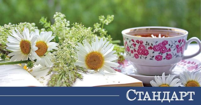 7 вида чай срещу главоболие 2026