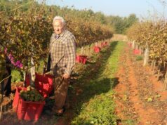 ‘VRIJEME JE ZA…’ Avantura Brune Ferenca postala ozbiljan vinski biznis čiji smjer ne namjerava mijenjati 2026 ‘VRIJEME JE ZA…’ Avantura Brune Ferenca postala ozbiljan vinski biznis čiji smjer ne namjerava mijenjati 2026