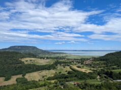 Wine Time Travel: Budapest Hosts Massive Tasting of Revived Ancient Hungarian Varieties 2026 Wine Time Travel: Budapest Hosts Massive Tasting of Revived Ancient Hungarian Varieties 2026