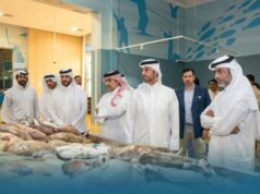 وزير البلدية يتفقد عددا من مؤسسات المنتجات الزراعية والسمكية والحيوانية 2026 وزير البلدية يتفقد عددا من مؤسسات المنتجات الزراعية والسمكية والحيوانية 2026