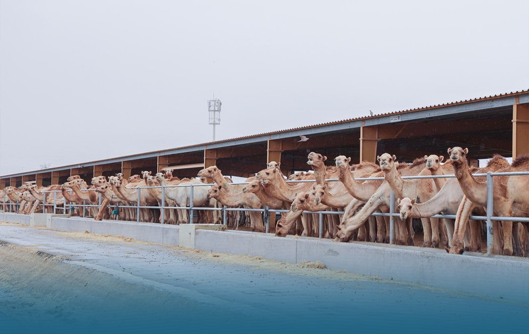 محليات وزير البلدية يتفقد عددا من مؤسسات المنتجات الزراعية والسمكية والحيوانية 2026 wzyr albldyh ytfqd adda mussat almntjat alzraayh walsmk 4 محليات iustitia. Bg قام سعادة السيد عبد الله بن حمد بن عبد الله العطية، وزير البلدية ورئيس لجنة متابعة سياسات الأمن الغذائي، بجولة... وزير البلدية يتفقد عددا من مؤسسات المنتجات الزراعية والسمكية والحيوانية 2026 2026-04-10 09:09:12 عدالة - iustitia. Bg محليات