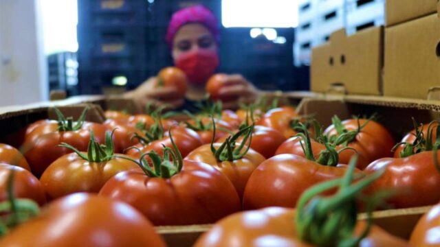 Zincir marketlerde fiyat skandalı! Tarlada , rafta TL: Bakanlık düğmeye bastı Zincir marketlerde fiyat skandalı! Tarlada 50, rafta 250 TL: Bakanlık düğmeye bastı 2026