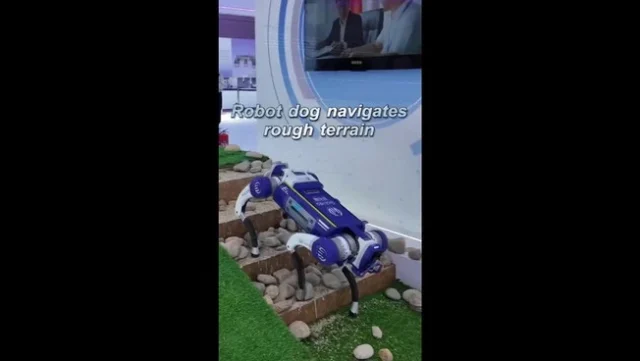 Cina, cane robot supera terreni accidentati alla World Intelligence Expo 2026