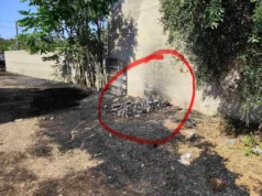 Για τη φωτιά που έβαλε σε σκουπίδια γυναίκα θα πληρώσει 7.129 ευρώ! ΦΩΤΟ 2026 Για τη φωτιά που έβαλε σε σκουπίδια γυναίκα θα πληρώσει 7.129 ευρώ! ΦΩΤΟ 2026