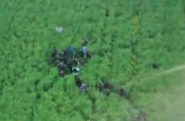 Imagini cu momentul capturării suspectului în crima din Bihor: Bărbatul era ascuns într-un lan de rapiță 2026