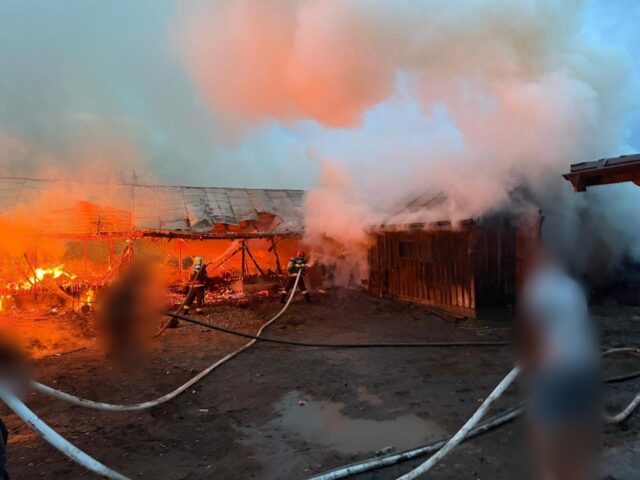 Un incendiu violent a cuprins două adăposturi de animale într-o localitate din Suceava 2026