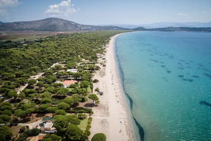 Δικαιούχοι κοινωνικός τουρισμός δυπα 2026-2027: πότε βγαίνουν τα αποτελέσματα – tι ισχύει για τα vouchers 2026 koinonik toyrism dypa 2026 2027 vga noyn apotel smata i δικαιούχοι μέσα στην επόμενη εβδομάδα αναμένεται να ανακοινωθούν τα προσωρινά αποτελέσματα για το πρόγραμμα κοινωνικού... Iustitia. Bg κοινωνικός τουρισμός δυπα 2026-2027: πότε βγαίνουν τα αποτελέσματα – tι ισχύει για τα vouchers 2026 2026-05-10 00:07:04 δικαιοσυνη - iustitia. Bg δικαιούχοι