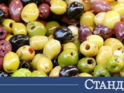 Лекари посочиха три основни ползи от маслините за тялото 2026 Лекари посочиха три основни ползи от маслините за тялото 2026
