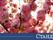 Лудост. Ето как ще се обърне времето през май 2026 Лудост. Ето как ще се обърне времето през май 2026