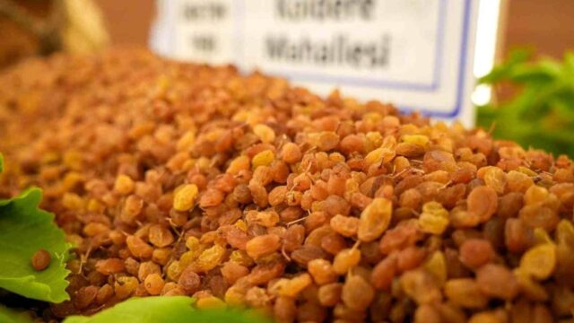 Manisa’dan 321 milyon dolarlık kuru üzüm ihracatı! 2026