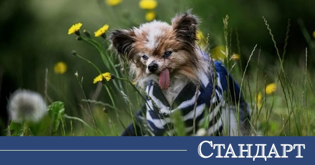 Юстиция юстиция | разследваща журналистика, новини, анализи | iustitia. Bg | юстиция pochina nay staroto kuche sveta 2026 юстиция jtndysuymghyzwylm0qlmjjodhrwcyuzqsuyriuyrm5ld3muz29vz2xllmnvbsuyrnb1ymxpy2f0aw9ucyuyrknbqxfcd2dltuxqnxlrc3c4nvroqxclm0zjzwlkjtneqkclm0fizyuynmftccuzqm9jjtnemyuymiuzrsuzq2ltzyuymgnsyxnzjtnejtiyywxpz25jzw50zxilmjb3cc1pbwfnzs0xnju3jtiwc2l6zs1mdwxsjtiyjtiwdgl0bgulm0qlmjilrdalqjmlrdelodmlrdalqjmlrdeloeelrdalqkilmjalrdalqkqlrdalqkulrdalqjilrdalqjglrdalqkqlrdalqjglmkmlmjalrdalqjmlrdalqkulrdalqkulrdalqjmlrdalqkilrdalqjulmjalrdalqkqlrdalqkulrdalqjilrdalqjglrdalqkqlrdalqjglmkmlmjalrdalqjmlrdelodmlrdalqjmlrdeloeelrdalqkilmjalrdalqkqlrdeloeulrdalqjclmkmlmjalrdalqjmlrdeloeelrdalqjmlrdeloeelrdalqkilmjalrdalqkqlrdeloeulrdalqjclmkmlmjbnb29nbgulmjbuzxdzjtjdjtiwbmv3cyuymgdvb2dszsuyqyuymgdvb2dszs5izyuyqyuymg5ld3muz29vz2xllmjnjtjdjtiwjuqwjuffjuqxjtgxjuqxjtgyjuqwjui4juqxjtg2juqwjui4juqxjthgjtjdjtiwjuqwjujejuqwjujfjuqwjuiyjuqwjui4juqwjujejuqwjui4jtjdjtiwjuqwjujgjuqwjujfjuqxjtgxjuqwjujcjuqwjui1juqwjui0juqwjujejuqwjujfjuqxjtgyjuqwjujfjtjdjtiwjuqwjujejuqwjuiwjuqwjui5lsvemcvcmivemcvcmcvemcvcnivemcvcrcvemcvcrsvemsu4mivemcvcrsuyqyuymcvemcvcmivemcvcocvemcvcncvemcvcnsvemcvcrsuyqyuymcvemsu4mivemcvcnsvemcvcqivemcvcnsvemcvcmivemcvcocvemcvcnyvemcvcocvemsu4riuyqyuymcvemsu4mcvemcvcmcvemcvcncvemcvcocvemcvcrsuyqyuymcvemcu5rcvemcvcrsvemcvcmivemcvcocvemcvcrcvemcvcocuyqyuymcvemcvcrivemcvcnsvemsu4mivemsu4qsvemsu4mcuymcvemcvcrcvemcvcocvemcvcnyvemcvcmcvemcvcqyvemcvcrsvemcvcmiuymiuymhnyyyuzrcuymmh0dhalm0elmkylmkz3d3cuaxvzdgl0aweuymclmkz3cc1jb250zw50jtjgdxbsb2fkcyuyrjiwmjmlmkywmyuyrkdvb2dszs1ozxdzlwl1c3rpdglhlwjnlxbldgfylw5pemftb3yud2viccuymiuymgfsdcuzrcuymivemcvcmyvemsu4myvemcvcmyvemsu4qsvemcvcqiuymcvemcvcrcvemcvcrsvemcvcmivemcvcocvemcvcrcvemcvcocuyqyuymcvemcvcmyvemcvcrsvemcvcrsvemcvcmyvemcvcqivemcvcnsuymcvemcvcrcvemcvcrsvemcvcmivemcvcocvemcvcrcvemcvcocuyqyuymcvemcvcmyvemsu4myvemcvcmyvemsu4qsvemcvcqiuymcvemcvcrcvemsu4rsvemcvcnyuyqyuymcvemcvcmyvemsu4qsvemcvcmyvemsu4qsvemcvcqiuymcvemcvcrcvemsu4rsvemcvcnyuyqyuymgdvb2dszsuymg5ld3mlmkmlmjbuzxdzjtiwz29vz2xljtjdjtiwz29vz2xllmjnjtjdjtiwbmv3cy5nb29nbguuymclmkmlmjalrdalquulrdelodelrdelodilrdalqjglrdelodylrdalqjglrdeloeylmkmlmjalrdalqkqlrdalqkulrdalqjilrdalqjglrdalqkqlrdalqjglmkmlmjalrdalqkylrdalqkulrdelodelrdalqkilrdalqjulrdalqjqlrdalqkqlrdalqkulrdelodilrdalqkulmkmlmjalrdalqkqlrdalqjalrdalqjktjuqwjuiyjuqwjuiwjuqwjui2juqwjujejuqwjujfjuqxjtgyjuqwjujfjtjdjtiwjuqwjuiyjuqwjui4juqwjui0juqwjui1juqwjujfjtjdjtiwjuqxjtgyjuqwjui1juqwjujcjuqwjui1juqwjuiyjuqwjui4juqwjui3juqwjui4juqxjthgjtjdjtiwjuqxjtgwjuqwjuiwjuqwjui0juqwjui4juqwjujfjtjdjtiwjuqwjtlejuqwjujfjuqwjuiyjuqwjui4juqwjujejuqwjui4jtjdjtiwjuqwjujgjuqwjui1juqxjtgyjuqxjthbjuqxjtgwjtiwjuqwjujejuqwjui4juqwjui3juqwjuiwjuqwjujdjuqwjujfjuqwjuiyjtiyjtiwd2lkdgglm0qlmjizmdalmjilmjbozwlnahqlm0qlmjixmdulmjilmjalmkylm0ulm0mlmkzhjtnfjtndadmlmjbzdhlszsuzrcuymnrlehqtywxpz24lm0elmjbjzw50zxilm0ilmjilm0ulm0nzdhjvbmclm0ulrdalqtalrdalqjulrdalqkelrdalqkilrdalqjalrdalqkmlrdalqjglrdelodalrdalqjalrdalqjklrdelodilrdalqjulmjalrdalqkylrdelodalrdalqjglmjalrdalqkqlrdalqjalrdelodehjtndjtjgc3ryb25njtnfjtndjtjgadmlm0ulmeqlmeelm0nhjtiwahjlziuzrcuymmh0dhbzjtnbjtjgjtjgaxvzdgl0aweuymclmkzyzwtsyw1pjtjgjtiyjtnfjtndaw1njtiwy2xhc3mlm0qlmjjhbglnbmnlbnrlciuymhdwlwltywdlltgxnda1jtiwc2l6zs1mdwxsjtiyjtiwdgl0bgulm0qlmjilrdalqtalrdalqjulrdalqkelrdalqkilrdalqjalrdalqkmlrdalqjglrdelodalrdalqjalrdalqjklrdelodilrdalqjulmjalrdalqkylrdelodalrdalqjglmjalrdalqkqlrdalqjalrdelodehjtiwjuqwjuffjuqwjuexjuqwjueyjuqwjtk4juqwjue2juqwjtk4juqwjufgjtiwlsuymelvu1rjvelblkjhjtiyjtiwc3jjjtnejtiyahr0chmlm0elmkylmkzpdxn0axrpys5izyuyrndwlwnvbnrlbnqlmkz1cgxvywrzjtjgmjaynsuyrjewjtjgcmvrbgftaxjhaxrllxbyas1uyxmud2viccuymiuymgfsdcuzrcuymivemcvbmcvemcvcnsvemcvcqsvemcvcqivemcvcmcvemcvcqyvemcvcocuymcvemcvbmcvemcvcnsvemcvcqsvemcvcqivemcvcmcvemcvcqyvemcvcmcuymcvemcvcncvemcvcocvemcvcmyvemcvcocvemsu4mivemcvcmcvemcvcqivemcvcnsvemcvcrcuymcvemcvcqyvemcvcmcvemsu4mcvemcvcqsvemcvcnsvemsu4mivemcvcocvemcvcrcvemcvcmyuymcvemcvbmcvemcvcnsvemcvcqsvemcvcqivemcvcmcvemcvcqyvemcvcocvemsu4mcvemcvcmcvemcvcosvemsu4mivemcvcnsuymcvemcvcrivemsu4mcvemcvcocuymcvemcvcrcvemcvcmcvemsu4msuymcvemsu4msuymcvemcvbrsvemcvbmsvemcvbmivemcu5ocvemcvbnivemcu5ocvemcvbriuymc0lmjbjvvnusvrjqs5cryuymcvemcvbmcvemcvcnsvemcvcqsvemcvcqivemcvcmcvemcvcqyvemcvcocvemsu4mcvemcvcmcvemcvcosvemsu4mivemcvcnsuymcvemcvcrivemsu4mcvemcvcocuymcvemcvcrcvemcvcmcvemsu4mselmjalrdalquulrdalqtelrdalqtilrdalotglrdalqtylrdalotglrdalquylmjatjtiwsvvtvelusueuqkclmjbyzwtsyw1pcmfpdgulmjbwcmklmjbuyxmlmjilmjb3awr0acuzrcuymjeymdalmjilmjbozwlnahqlm0qlmji2mjglmjilmjalmkylm0ulm0mlmkzhjtnf юстиция юстиция