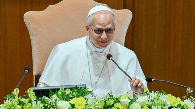 Pope Leo warns AI risks becoming tool of 'domination, exclusion and death' in new encyclical 2026