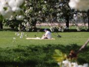 România scapă de vremea rece. Meteorologii au actualizat estimările pentru următoarele patru săptămâni 2026 România scapă de vremea rece. Meteorologii au actualizat estimările pentru următoarele patru săptămâni 2026