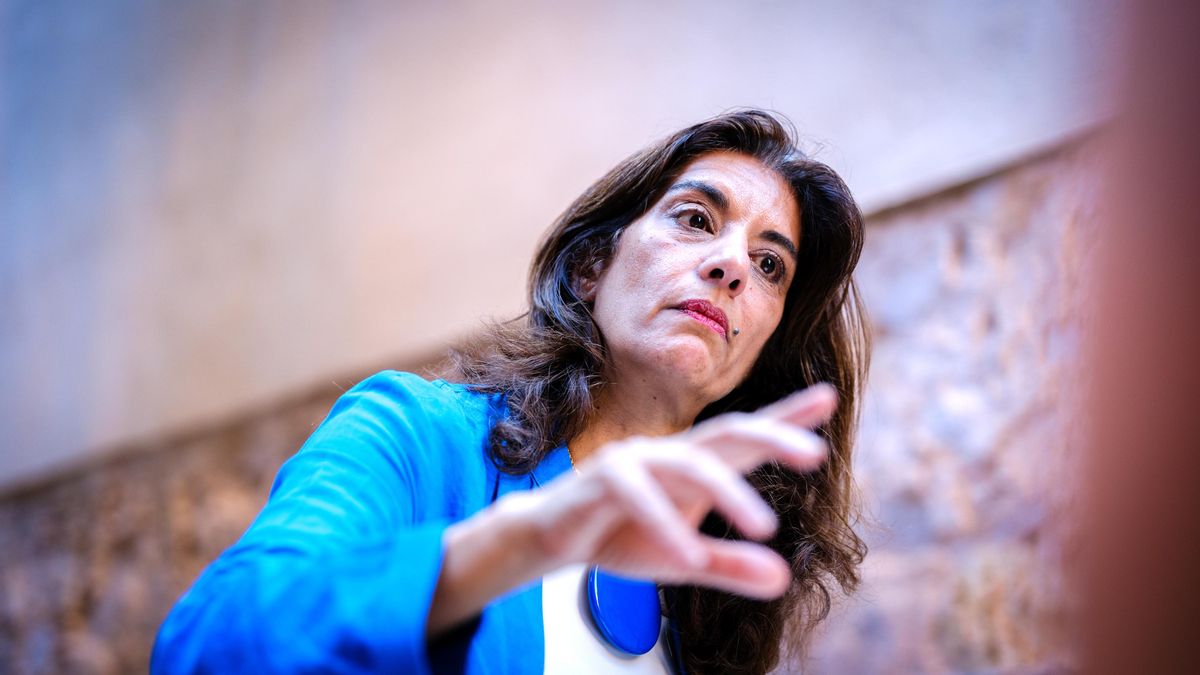 La activista y defensora de la paz, sanam naraghi-anderlini, durante la entrevista