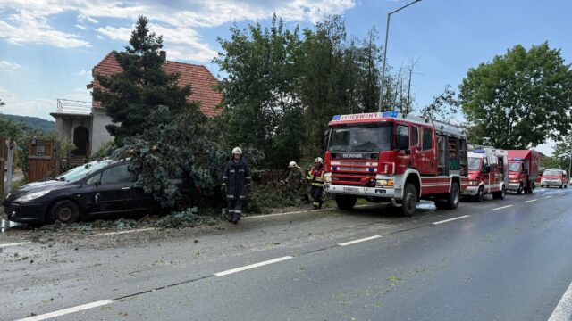Sogar Bäume umgestürzt Unwetter sorgt für abgedeckte Dächer und Hagel Sogar Bäume umgestürzt - Unwetter sorgt für abgedeckte Dächer und Hagel 2026