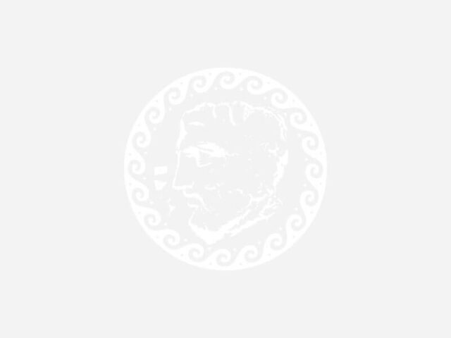 Πέθανε ο Νίκος Παπαμικρούλης, ήταν ο μακροβιότερος δήμαρχος Νέας Χαλκηδόνας, 2026