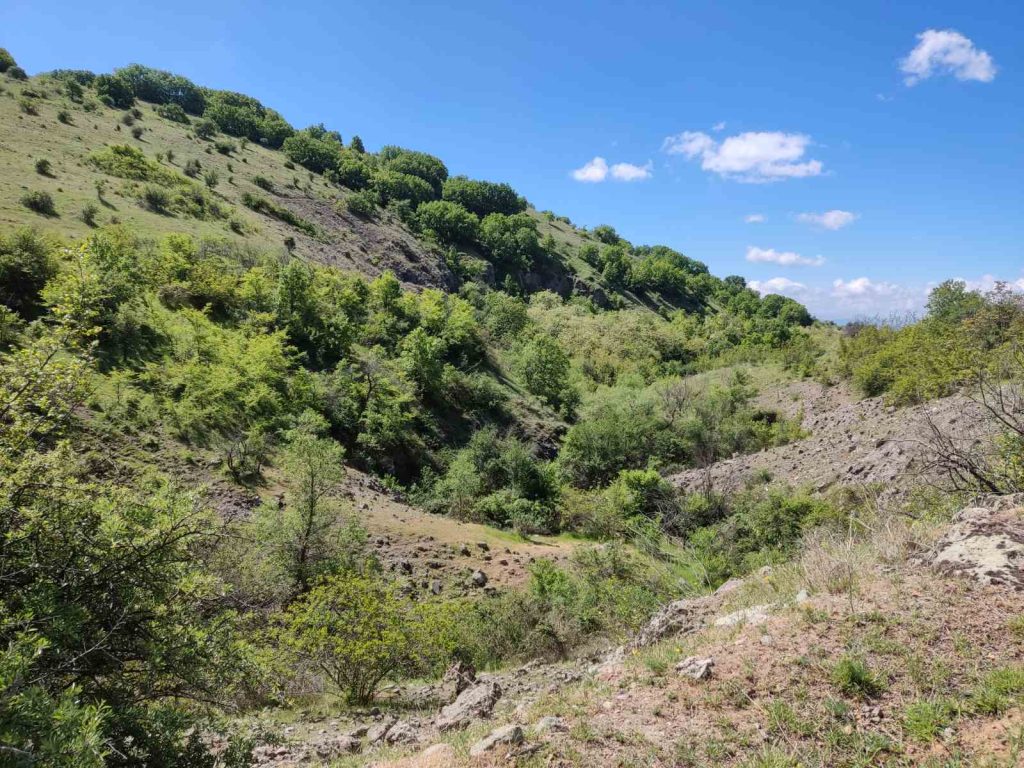 Вториот тендер е последна шанса да се изгради регионалната депонија во свети николе, пред да пропаднат парите од еу 2026 - правда - юстиция Tender вториот тендер е последна шанса да се изгради регионалната депонија во свети николе, пред да пропаднат парите од еу 2026 vtoriot tender posledna shansa izgradi regionalnata dep 1 tender iustitia. Bg ова е последна шанса за проектот за регионалната депонија во свети николе да успее, бидејќи, како што поминува времето се губат средствата од ипа, а се зголемува националното... Вториот тендер е последна шанса да се изгради регионалната депонија во свети николе, пред да пропаднат парите од еу 2026 2026-05-14 10:10:04 правда - юстиция tender