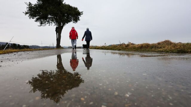 Wetter: Eisheiligen beginnen mit Dauerregen im Schwarzwald 2026